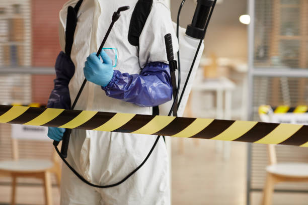 Professional Sewage Cleanup technician working in Alvord, TX